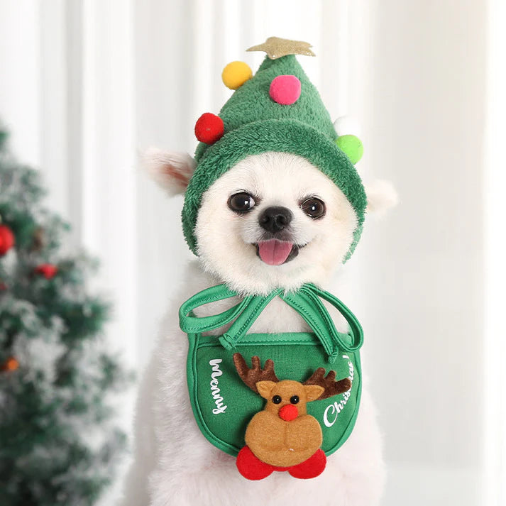 Pet Christmas (Hat + Scarf)